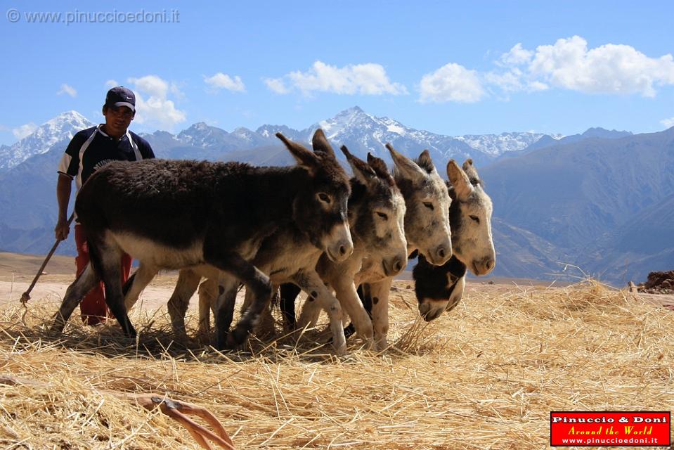 PERU - Sito agricolo di Moray - 03.jpg